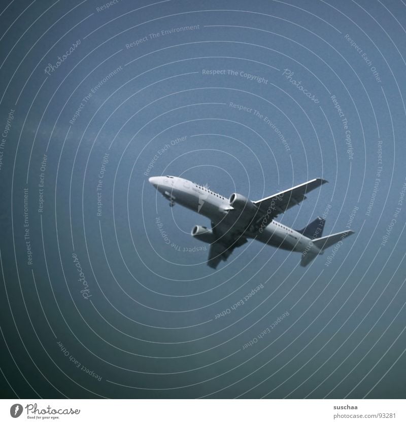 ...look, he's already flying... Airplane Wanderlust Homesickness Frankfurt Arrival Airport Airbus Sky through the air lufthansa Vacation & Travel landing