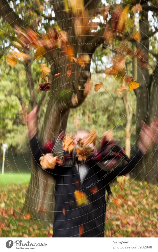 autumn rush Trip Human being Feminine Girl 1 Nature Autumn Tree Leaf Park Flying Faded Throw Brown Yellow Green Orange Joy Movement Ease Autumn leaves