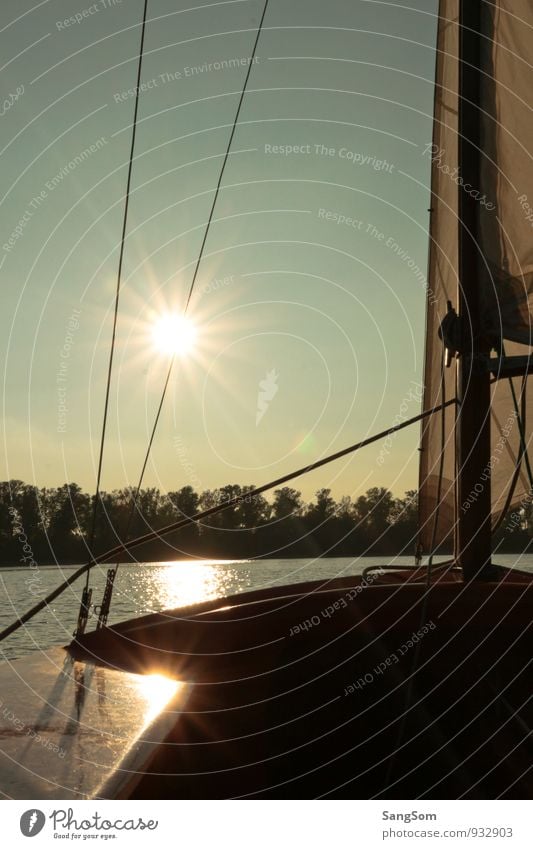 Sailing with Kalli Leisure and hobbies Summer Sun Nature Water Sky Cloudless sky Sunlight Spring Autumn Beautiful weather Tree Lakeside River bank Sailboat