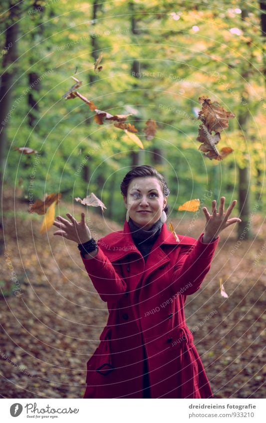 autumnal magic Feminine Woman Adults Nature Sunlight Autumn Beautiful weather Park Forest Jacket Black-haired Brunette Movement Love Playing Esthetic