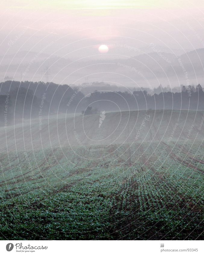 czech morning fog Fog Sunrise Field Wake up Morning fog Czech Republic Hill Europe Power Force Valley Furrow Landscape