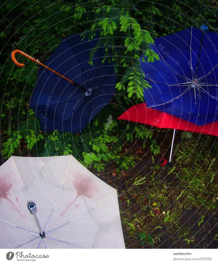 rain Umbrella Rain Bad weather Meteorological service Low pressure zone Rain wear Rain jacket Weather protection Forest Enchanted forest Berlin zoo