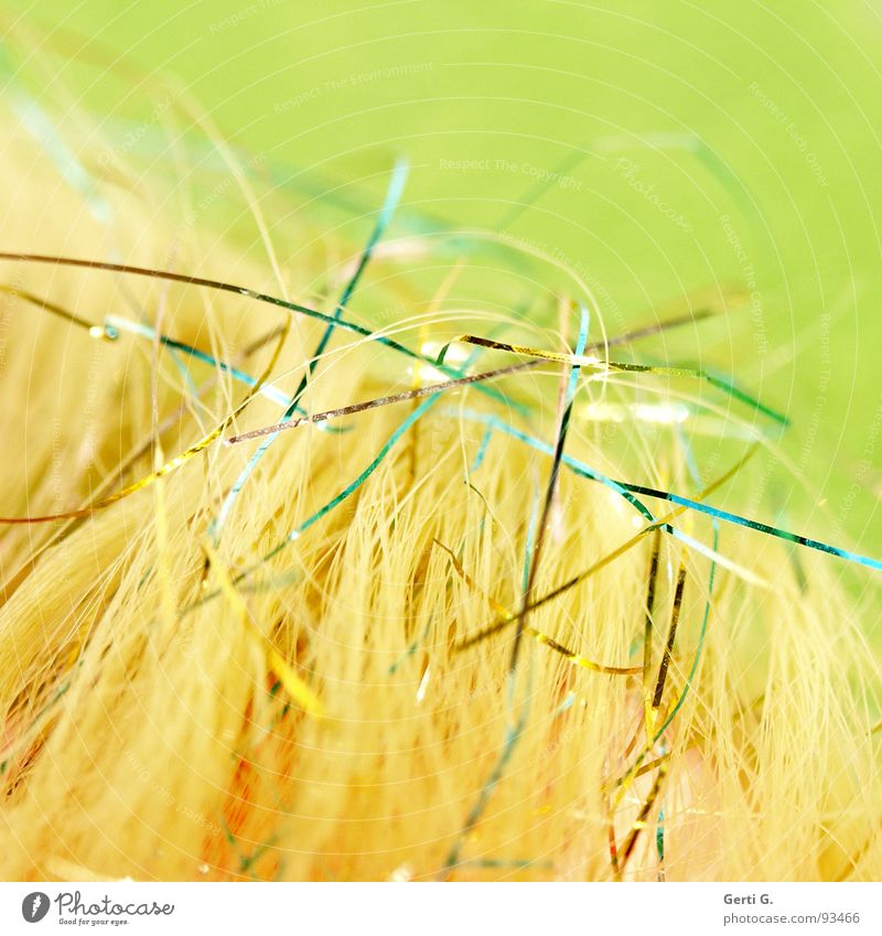 softmix Pastel tone Delicate Soft Mixture Muddled String Spinner Yellow Green Sewing thread Colour tone Decent Titillation Glittering Macro (Extreme close-up)