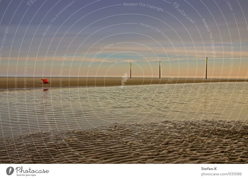 View of the mud flats Environment Nature Landscape Water Horizon Sunrise Sunset Summer Beautiful weather Coast Beach North Sea Swimming & Bathing Observe