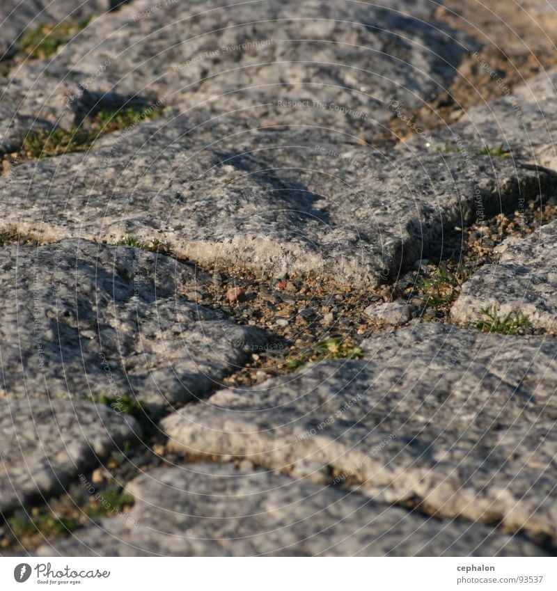 Go away Under Hard Detail Stone Earth Dirty Floor covering Close-up Macro (Extreme close-up) Paving stone