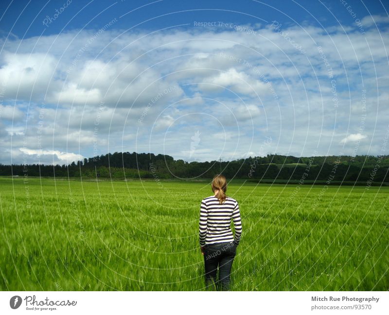 Born to be FREE 1 Longing Miss Emotions Spring Calm Grass Clouds Infinity Frictionless Thought Freedom Stripe Horizon Green Field Grief Beautiful Meadow Peace