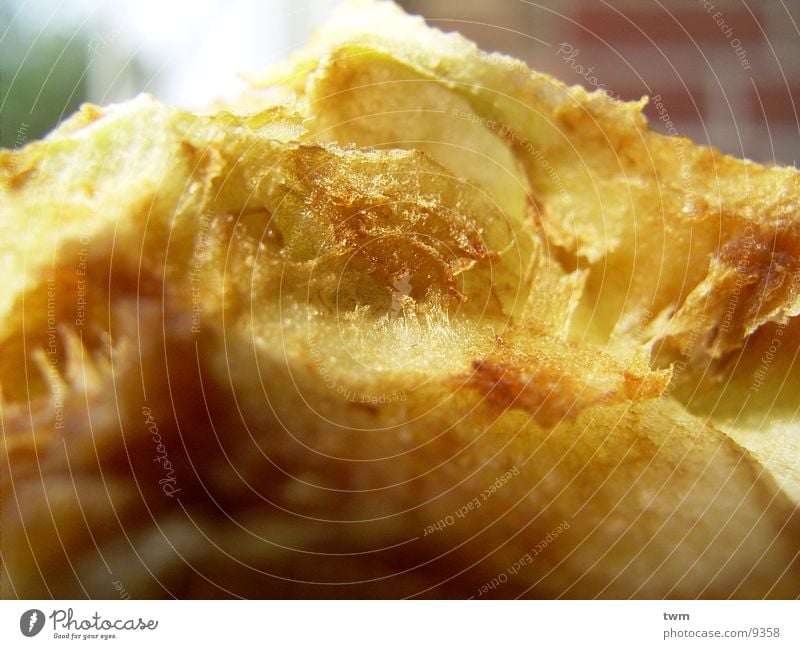 Old apple stump ricoh caplio g3 Macro (Extreme close-up) Organic farming Fruit Apple