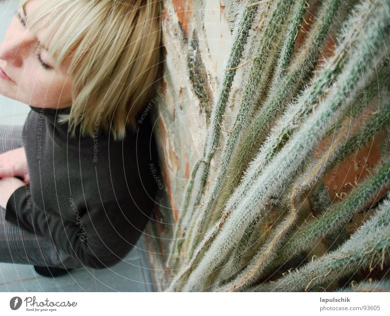 relaxation Relaxation Calm Cactus Brick Wall (barrier) Wall (building) Contentment Interior shot Woman Modern Happy Plant Think