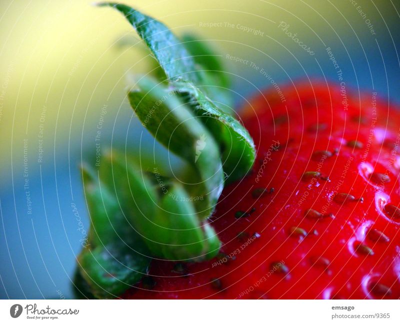 Who wants me :) Banana Macro (Extreme close-up) Close-up Healthy Strawberry Fruit Colour blur