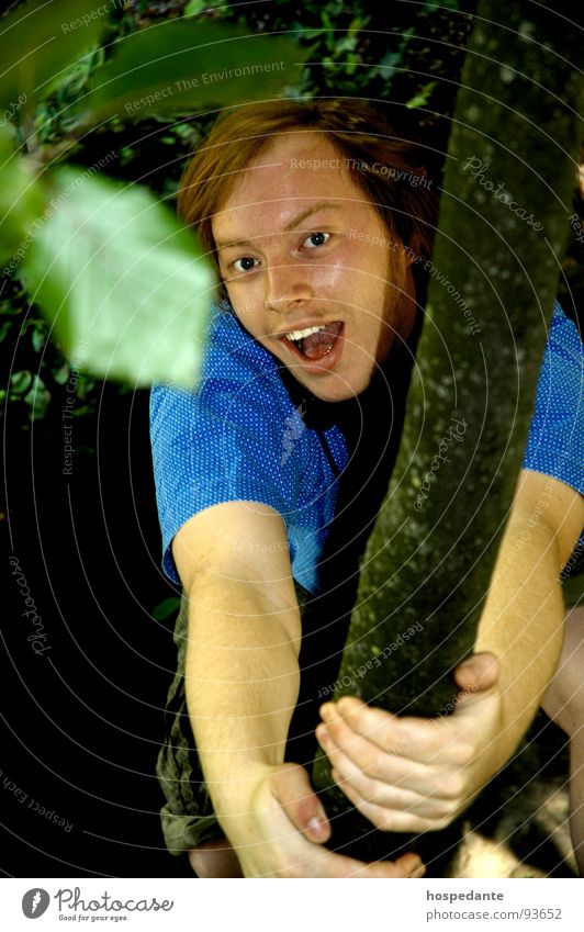 In the jungle Tree Climbing tree Branchage Leaf Joy Youth (Young adults) One young adult man Individual 1 1 Person Looking into the camera Playing Exterior shot