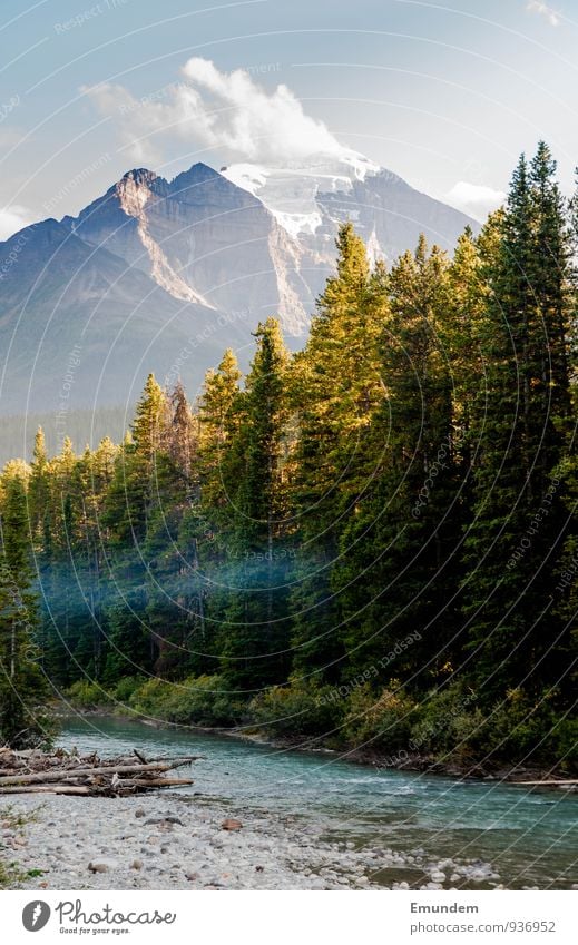 Jasper Environment Nature Landscape Water Sky Clouds Summer Autumn Beautiful weather Tree Forest Brook River Canada Americas Adventure Relaxation