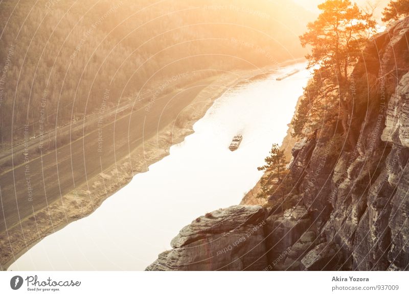 Enjoy the golden Sun II Vacation & Travel Tourism Cruise Hiking Nature Landscape Sunrise Sunset Sunlight Beautiful weather Tree Rock Mountain Saxon Switzerland