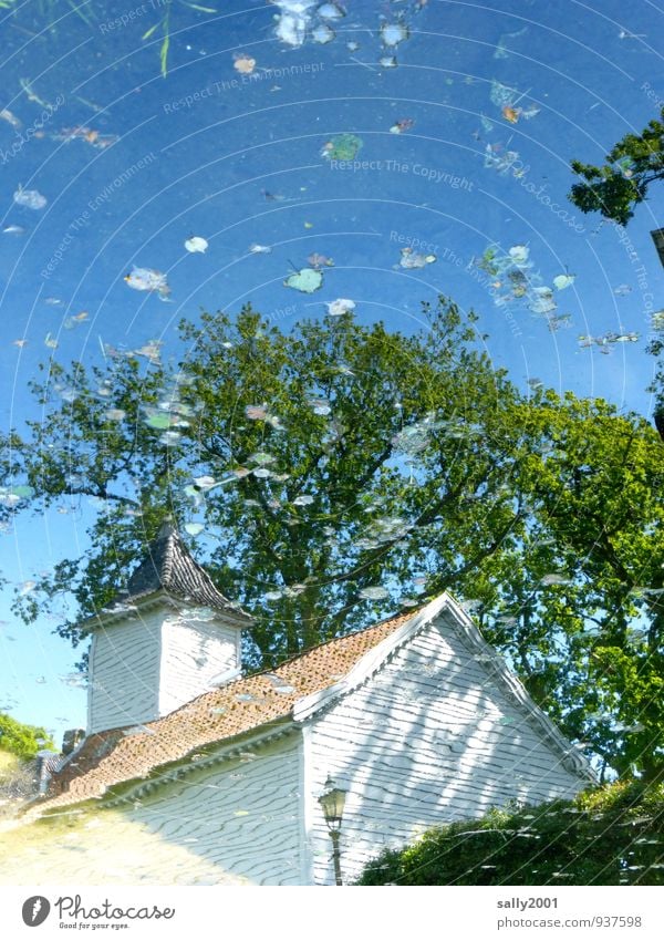 enchanted chapel... Water Tree Leaf Pond Village Tower Chapel Facade White Safety Safety (feeling of) To console Calm Relaxation Eternity Hope