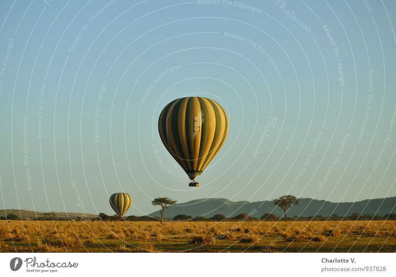 air safari Luxury Balloon flight Vacation & Travel Tourism Adventure Safari Hot Air Balloon Nature Landscape Summer Tree Grass Wild plant Savannah Serengeti