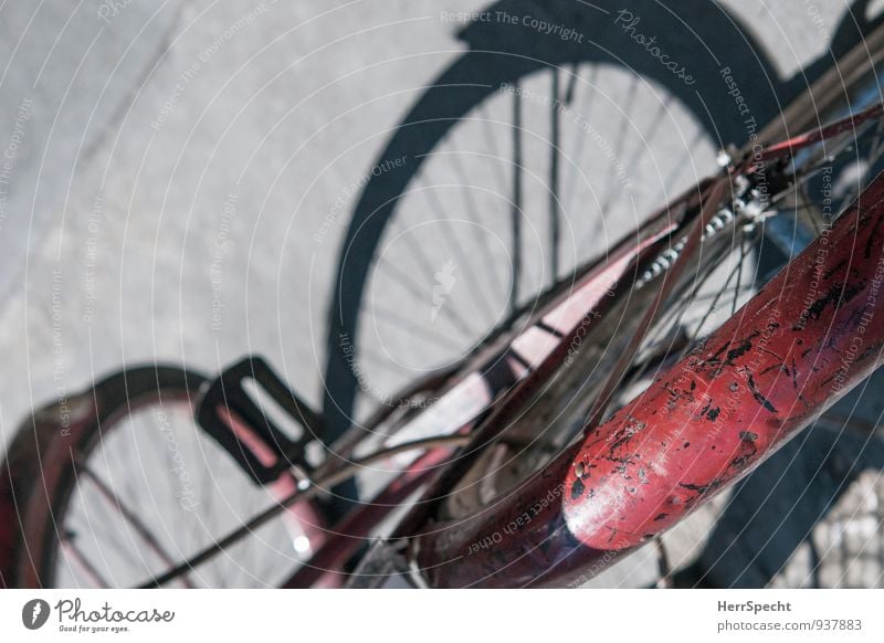 Old donkey Street Vehicle Bicycle Red Scratched Varnish Guard Shadow play rear tyre Asphalt Sunlight Dignified Patina Rust Dependability tried Colour photo