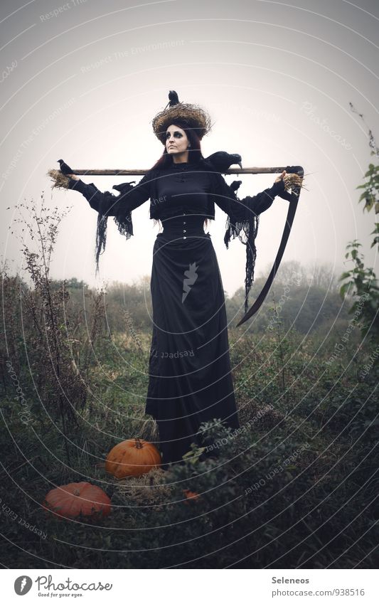 1100 l autumn harvest Pumpkin Pumpkin time Carnival Thanksgiving Hallowe'en Scythe The Grim Reaper Human being Feminine Woman Adults Environment Nature