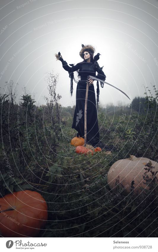 pumpkin harvest Carnival Hallowe'en Human being Feminine Woman Adults 1 Environment Nature Landscape Cloudless sky Horizon Autumn Field Bird Crow Creepy Pumpkin