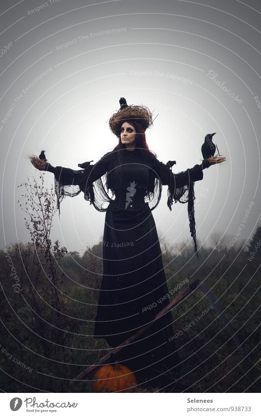 crow whisperer Carnival Oktoberfest Thanksgiving Hallowe'en Human being Feminine Woman Adults 1 Environment Nature Landscape Sky Horizon Autumn Fog Grass Bushes