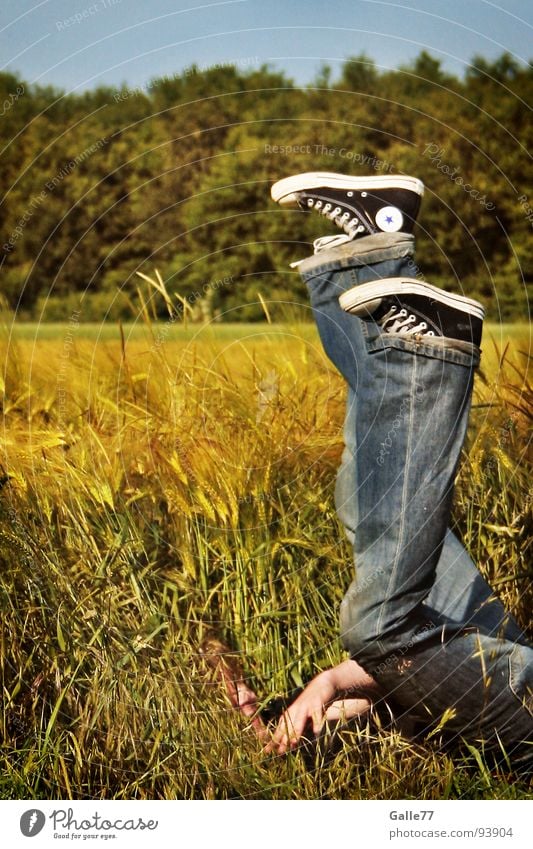 falling star Chucks Footwear Dive Grass Field Emotions Light heartedness Relaxation Summer Joy Human being To fall Star (Symbol) Tall Grain Free Funny