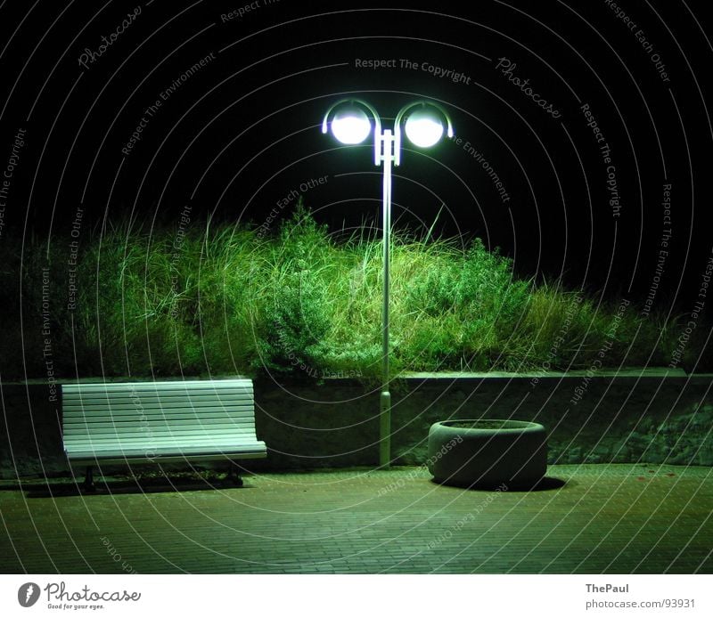 Light is Green Lantern Street lighting Bushes Night Dark Grief Loneliness Contentment Long exposure Exterior shot Full Garden Park Traffic infrastructure Bench