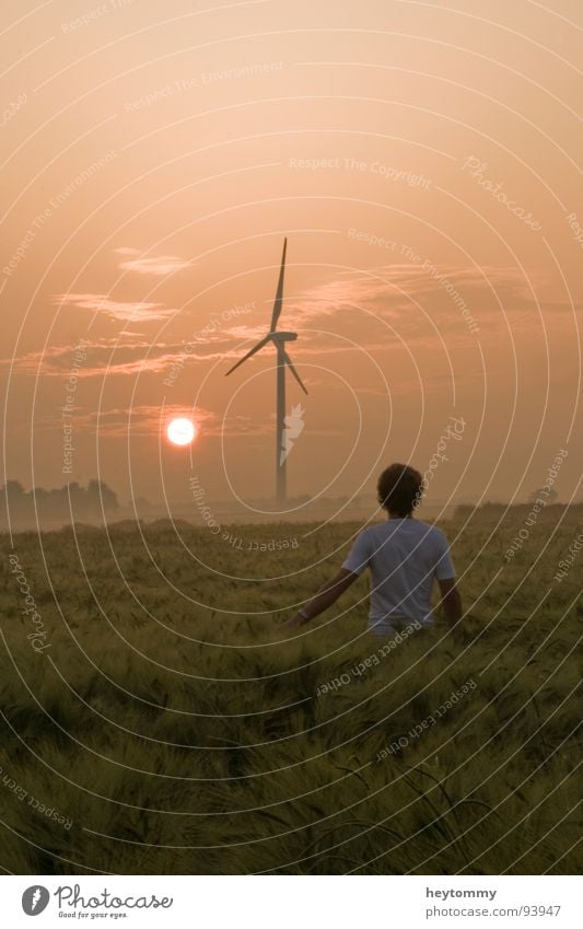 Sunrise, sunrise.. Field Mill Loneliness Think Moody Wheat Emotions Authentic Going To go for a walk Summer Spring Autumn Year Seasons Time Wind energy plant