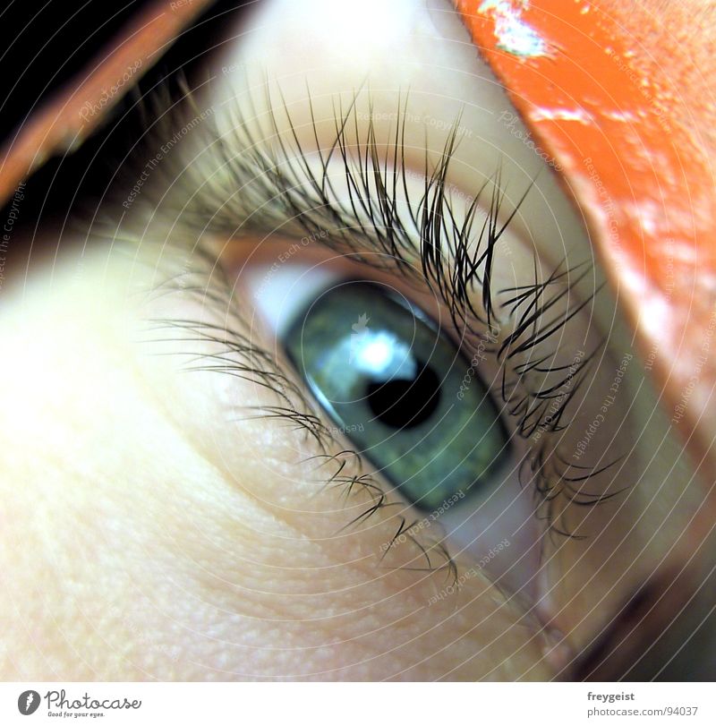 red Red Green Near Vista Eyelash Macro (Extreme close-up) Close-up Eyes eye lashes Skin Face Looking view Style Human being