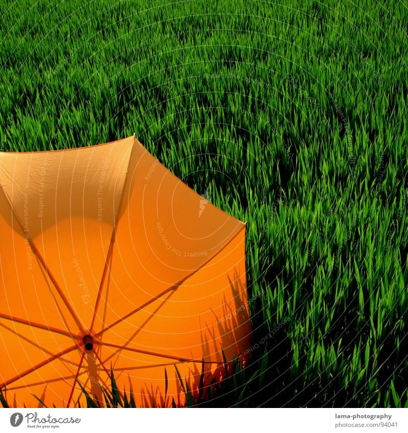 shadow play Cloppenburg Umbrella Sunshade Storm Clouds Grass Blade of grass Meadow Summer Field Green Spring Calm Loneliness Relaxation Sunbathing Forget