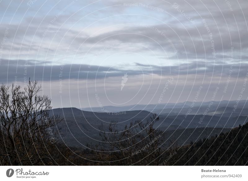 When the days get shorter ... Vacation & Travel Hiking Nature Landscape Sky Clouds Autumn Bushes Mountain Vosges Mountains Alsace Deserted Observe Discover