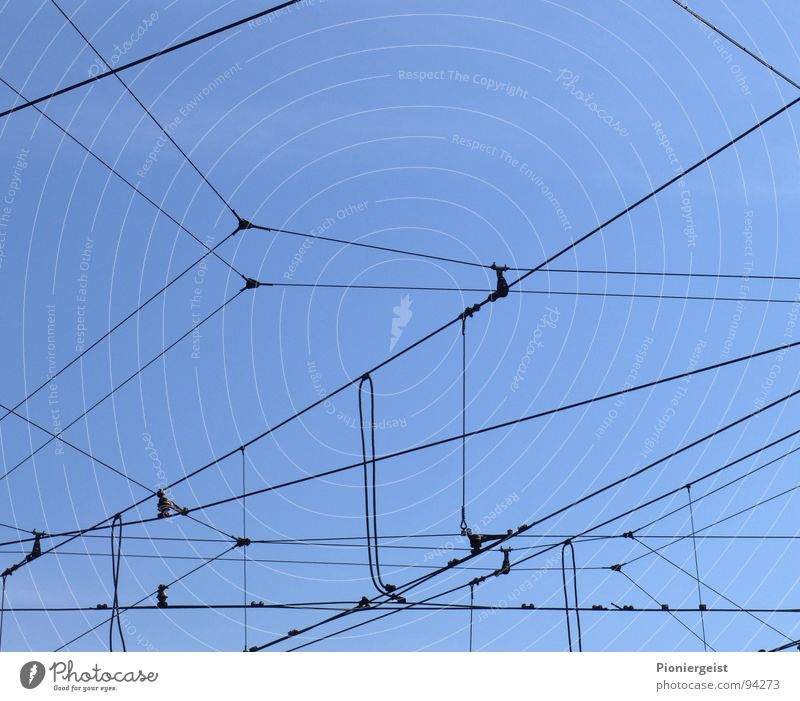 The network 3.1 Muddled Captured Spider Reticular Wire Helpless Overhead line Detail Net Rope streetcar Railroad Irritation