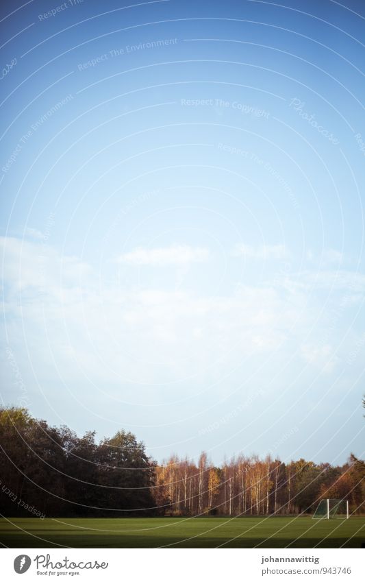 Meadow in front of a forest Line Direct Nature Simple unostentatious Forest Autumn Blue sky Soccer Goal forsake sb./sth.