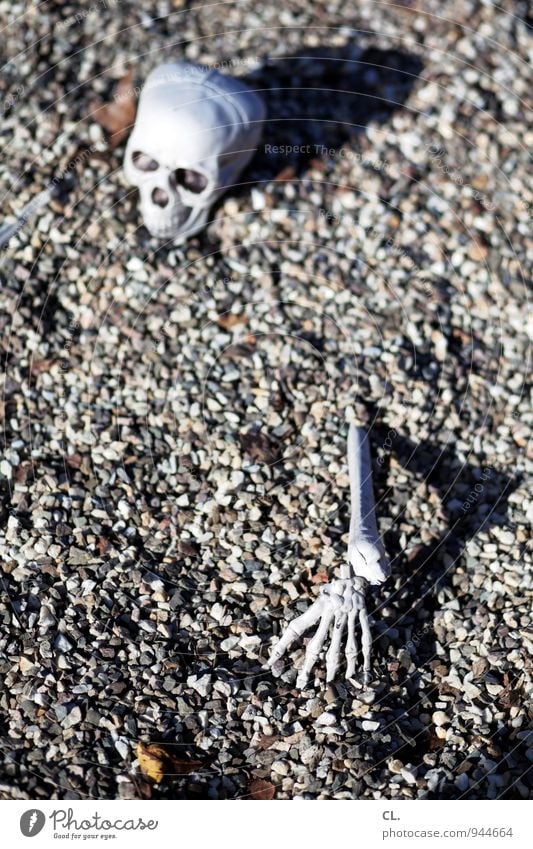 village life Hallowe'en Human being Senior citizen Head Arm Hand Fingers Death's head 1 60 years and older Ground Pebble Skeleton Stone Creepy Fear Horror