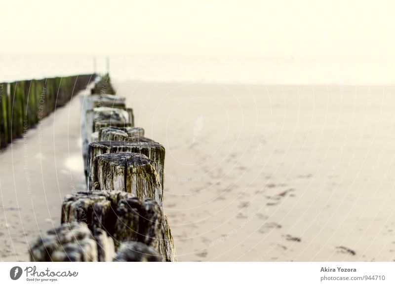 Until the sea comes back Sand Water Sky Cloudless sky Horizon Sunrise Sunset Beautiful weather Coast North Sea Ocean Old Relaxation Brown Yellow Gray Green