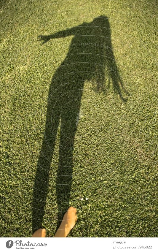 Lawn dance: the shadow of a woman with long hair dancing across the lawn Human being Feminine Young woman Youth (Young adults) Woman Adults Hair and hairstyles