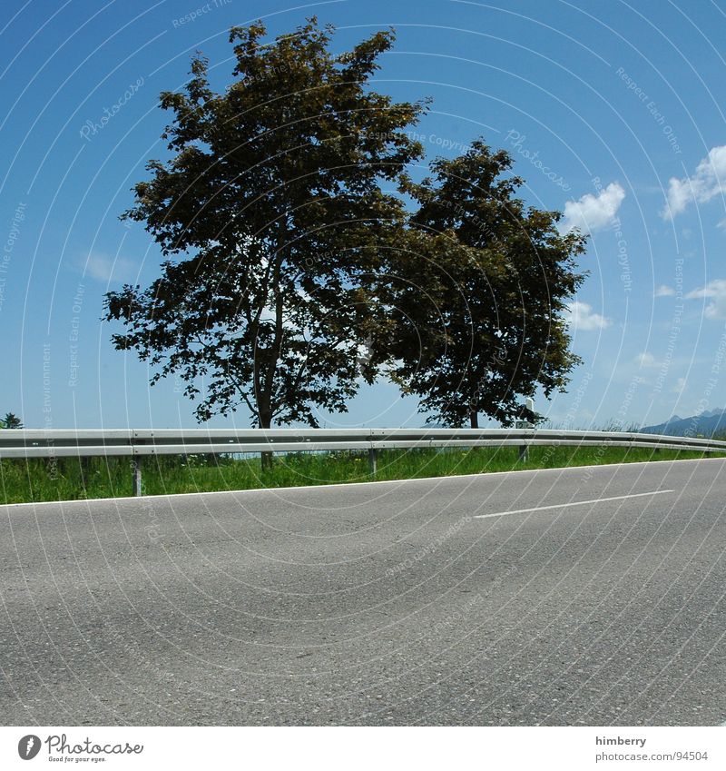 streetlife royal II Tree Clouds Asphalt Crash barrier Summer Meadow Country road Allgäu Traffic infrastructure Street Landscape Mountain Lawn