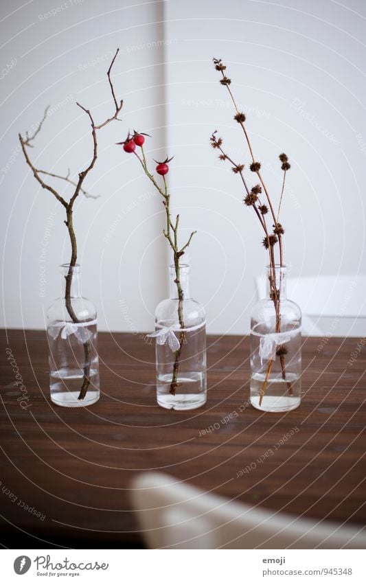 deco Autumn Plant Bushes Decoration Vase Natural White Colour photo Subdued colour Interior shot Deserted Day