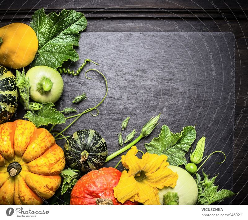 Decoration of colourful pumpkins of different varieties Food Vegetable Nutrition Banquet Organic produce Vegetarian diet Diet Design Healthy Eating