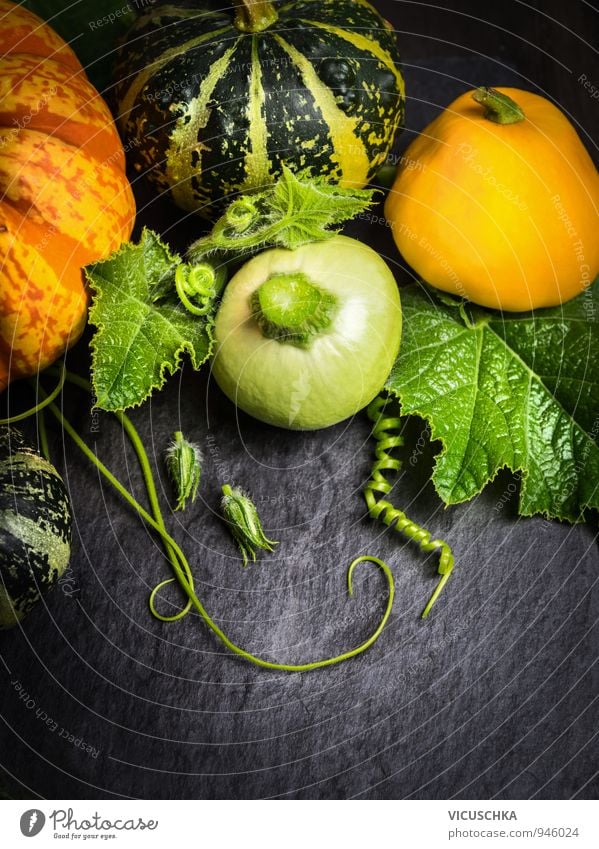 Colourful pumpkins with flowers, stems and leaves on slate Food Vegetable Organic produce Vegetarian diet Diet Design Leisure and hobbies Garden Thanksgiving