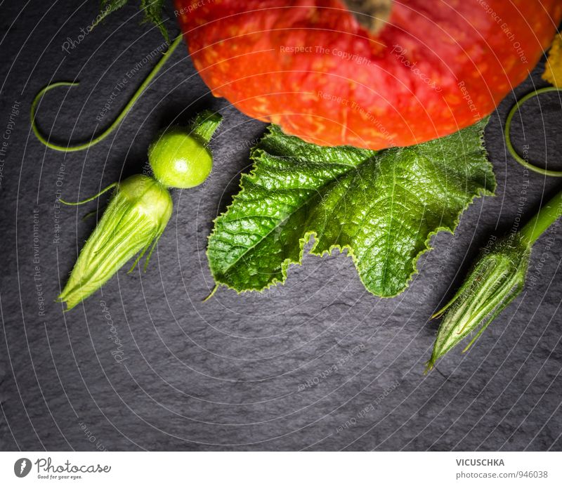 Pumpkin stems, flowers and fruits on slate Food Vegetable Nutrition Organic produce Vegetarian diet Diet Style Design Healthy Eating Leisure and hobbies Garden