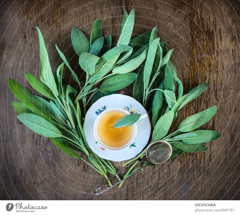 Cup of tea with fresh sage leaves Beverage Tea Crockery Plate Lifestyle Healthy Alternative medicine Healthy Eating Leisure and hobbies Summer Winter