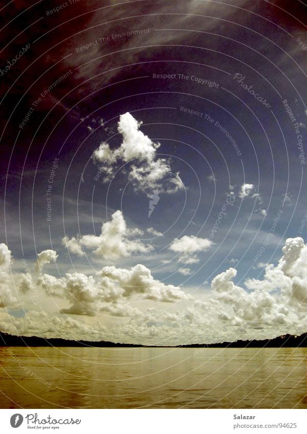 Jungler River Sky Brown Clouds Far-off places Mangrove Deep Horizon Virgin forest Amazonas Peru Summer Nature Panorama (View) South America Brook Blue wide