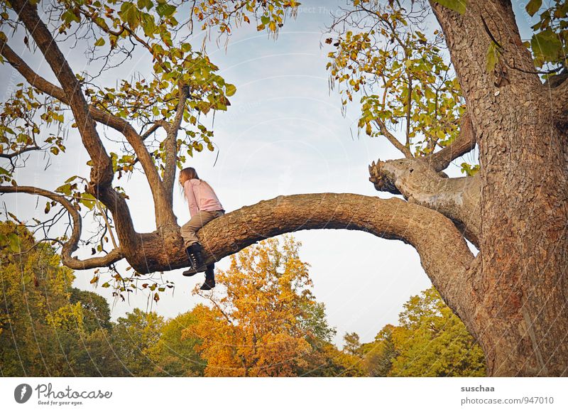 girl on a big tree Child Girl Infancy 8 - 13 years Environment Sky Autumn Climate Beautiful weather Tree Wood Sit Tree trunk Leaf Branch Colour photo Nature