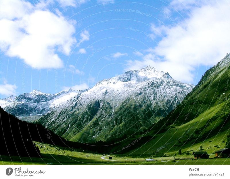 alpine summer Alpine pasture Snow Summer Clouds Light Alpine hut Almabtrieb Movement of livestock Snow peak Peak Meadow Sunrise Farm Hiking Mountain