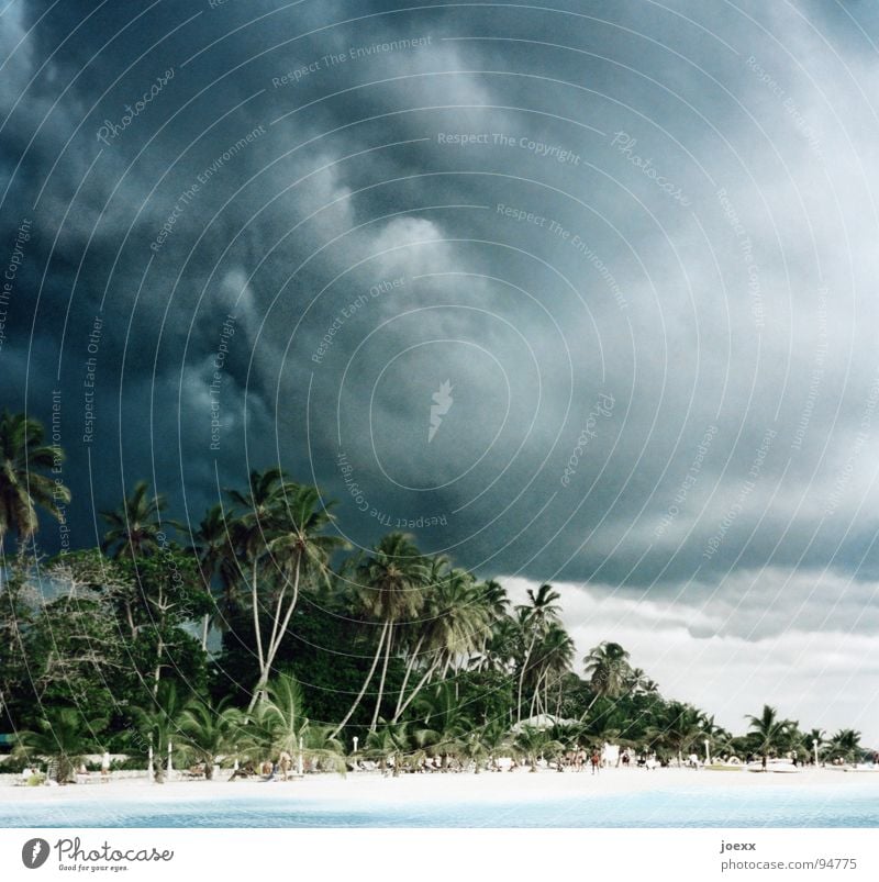 before the storm Beach vacation Relaxation Cuba Dark Storm clouds White crest Ocean Palm tree Calm Bad weather Lake Sunbathing Health Spa Gale Passion