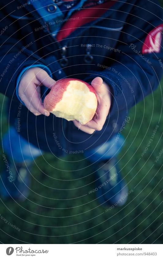 child eats apple Food Fruit Apple Nutrition Eating Picnic Organic produce Vegetarian diet Diet Fasting Healthy Healthy Eating Life Harmonious