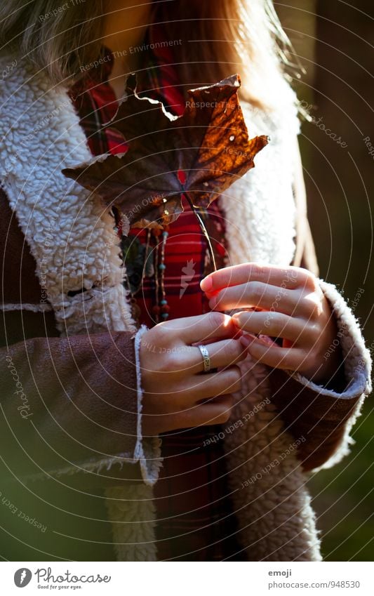 leaf Feminine Hand Autumn Beautiful weather Plant Leaf Warmth Brown Colour photo Exterior shot Close-up Day Shallow depth of field