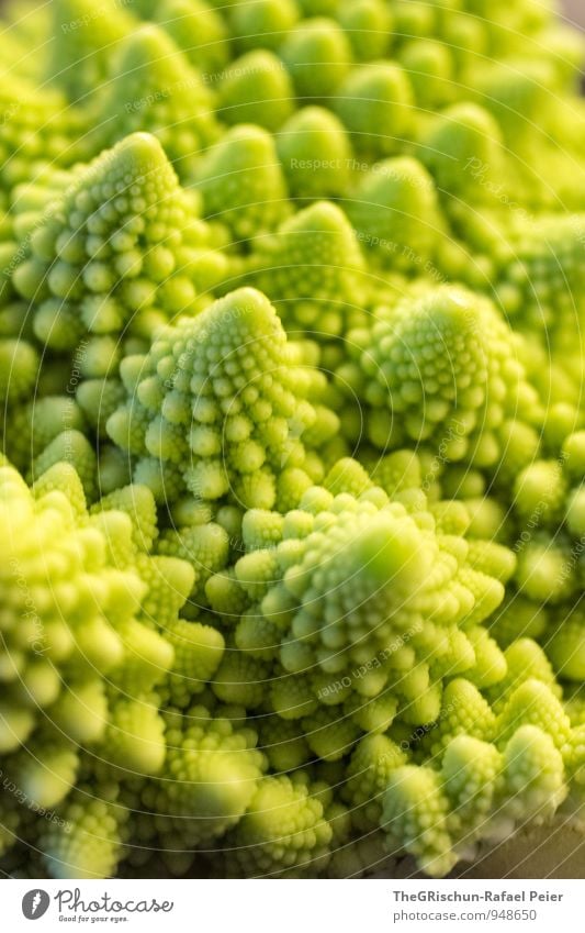 Vegetable Landscape III Food Yellow Green Romanesco Mountain Dream landscape Point Essen Edible Raw Nutrition Healthy Eating Vegan diet Vegetarian diet