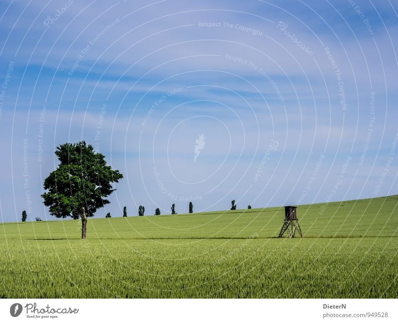 field Environment Nature Landscape Sky Clouds Summer Beautiful weather Plant Tree Agricultural crop Field Blue Green White Saxony Switzerland Hunting Blind