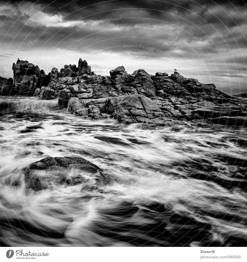 white water Nature Landscape Water Sky Clouds Weather Bad weather Wind Gale Waves Coast Ocean Gray Black White Granite Cote de Granit Rose Atlantic Ocean