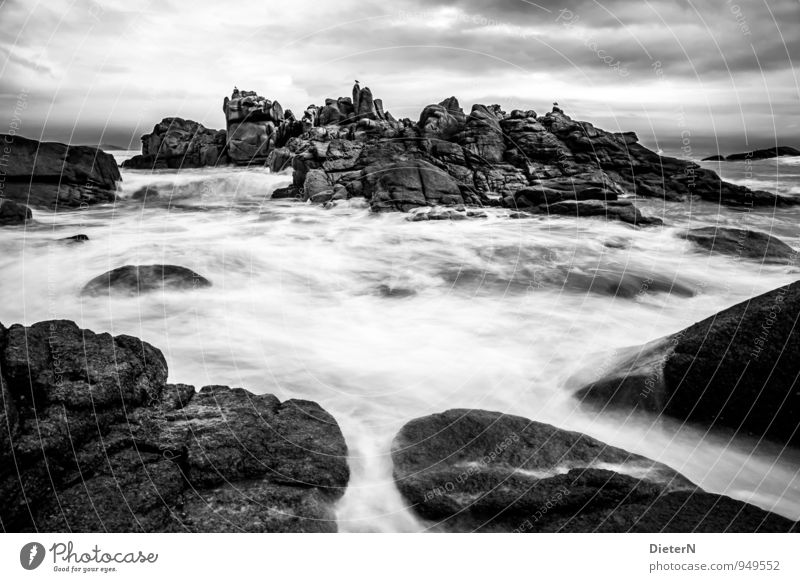 rock front Environment Nature Landscape Gray Black White Ocean Granite Waves Gale France Cote de Granit Rose Black & white photo Exterior shot Deserted