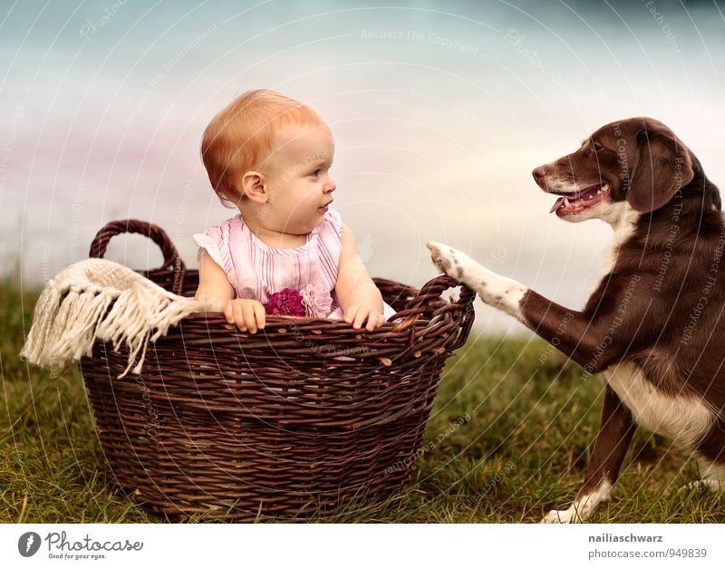 friends Feminine Child Baby Toddler Girl 1 Human being 0 - 12 months Nature Lakeside River bank Pond Clothing Animal Pet Dog Basket Observe Looking Sit